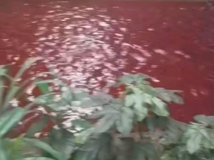 Air kali di Serpong tangsel berwarna merah