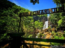 Menyusuri Curug Cimarinjung, Air Terjun Purba di Gawir Plato Jampang