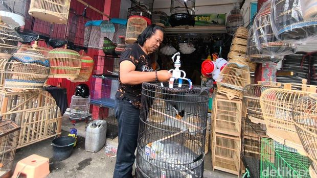 Deni Murai saat berjualan burung hias di Kuningan