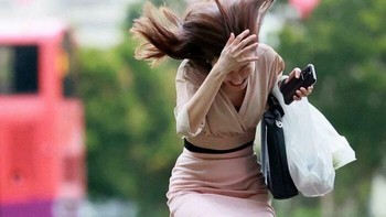 Aduh! Burung Menarik Rambut Wanita Foto: Boredpanda