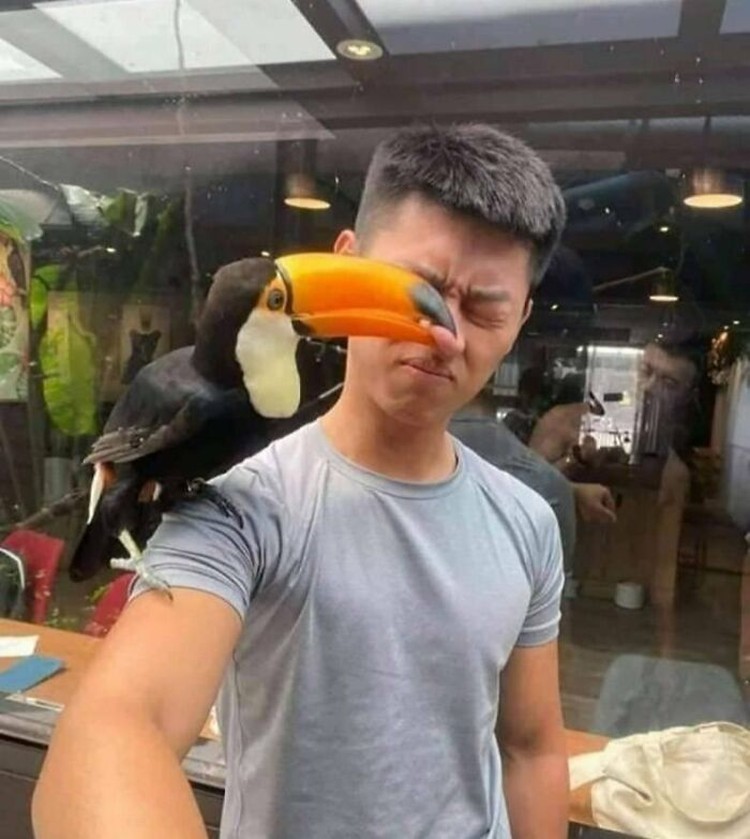 Foto Detik-detik Sebelum Bencana Terjadi