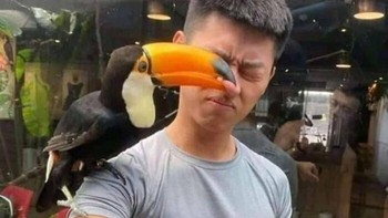 Duh semoga hidungnya baik-baik saja. Foto: Boredpanda