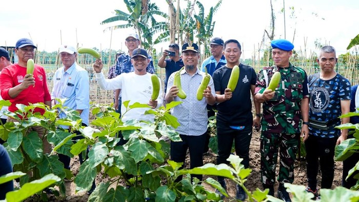 Gubernur Sulsel Andi Sudirman Sulaiman meluncurkan kebun hortikultura di Bone.