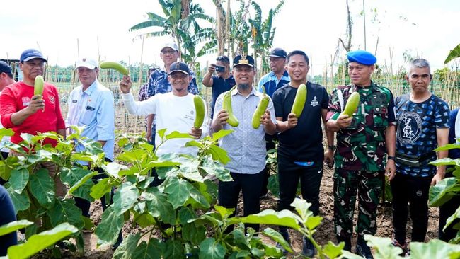 Gubernur Sulsel Luncurkan Kebun Hortikultura di Bone untuk Dukung MBG