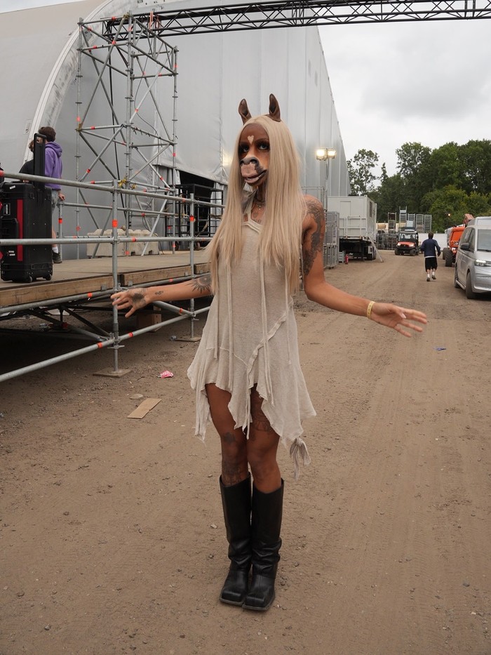 HorsegiirL