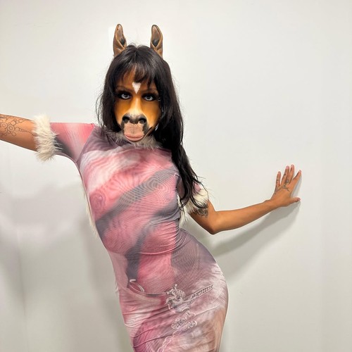 HorsegiirL