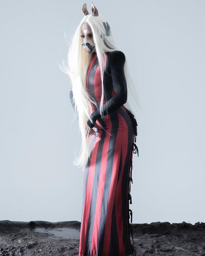 HorsegiirL