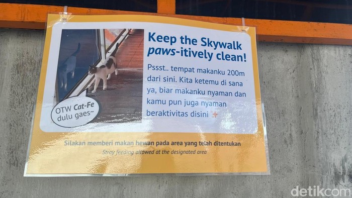Imbauan Tidak Beri Makan Kucing Sembarangan di Skywalk Kebayoran