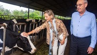Wakil Presiden Swiss Guy Parmelin (kanan) bersama Anggota Dewan Nasional Negara Swiss Simone De Montmollin (kiri) meninjau peternakan KPBS. Kunjungan tersebut sebagai penguatan kerja sama dalam mendorong digitalisasi ekosistem bisnis koperasi peternakan. Foto: ANTARA FOTO/Novrian Arbi