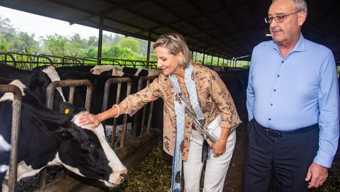 Wakil Presiden Swiss Guy Parmelin (kanan) bersama Anggota Dewan Nasional Negara Swiss Simone De Montmollin (kiri) meninjau peternakan Koperasi Produsen Peternakan Bandung Selatan (KPBS) Pangalengan, Kabupaten Bandung, Jawa Barat, Kamis (2/10/2025). Kunjungan tersebut sebagai penguatan kerja sama dalam mendorong digitalisasi ekosistem bisnis koperasi peternakan untuk meningkatkan inklusi keuangan dan kesejahteraan sekaligus apresiasi dalam membangun sistem Enterprise Resource Planning (ERP) yang menghubungkan peternak rakyat, koperasi susu, dan industri di KBPS Pangalengan. ANTARA FOTO/Novrian Arbi/nym.