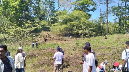 Penanaman pohon di daerah aliran sungai Wae Mese, Desa Tondong Belang, Kecamatan Mbeliling, Manggarai Barat, NTT, Sabtu (4/10/3025). (Ambrosius Ardin)
