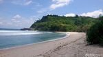 Perjungan Pokdarwis Tulungagung Lestarikan Penyu di Pantai Selatan