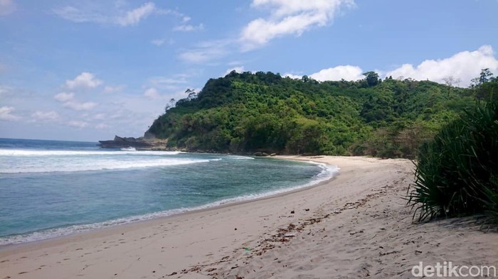 9 Tahun Konservasi Penyu di Pesisir Selatan Tulungagung dengan Peralatan Sederhana 9 Tahun Konservasi Penyu di Pesisir Selatan Tulungagung dengan Peralatan Sederhana
