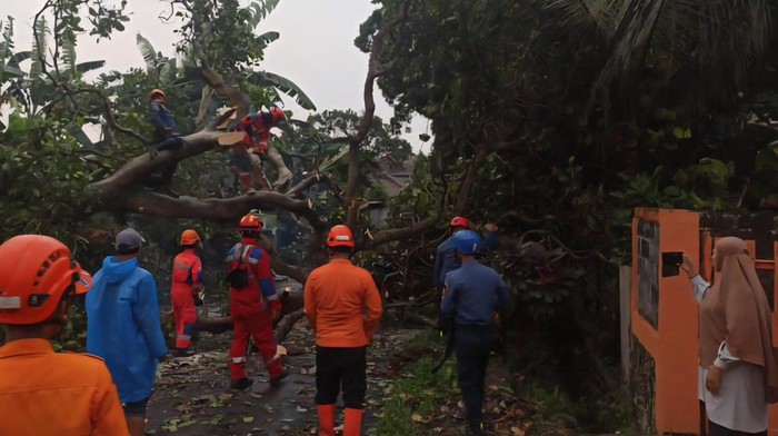 Angin terjang Bogor, 41 rumah dan sekolah rusak