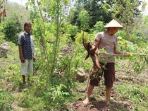 Bhabinkamtibmas Tempaling Rembang Ajak Warga Sulap Lahan Kosong Jadi Sumber Pangan