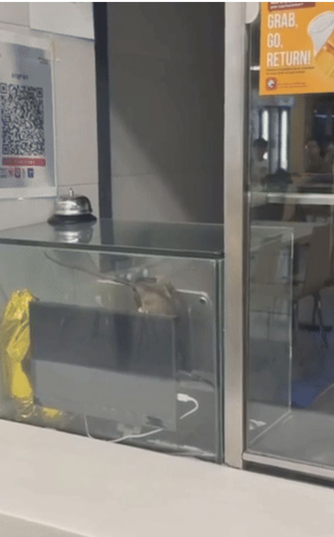 Ngeri! Ada Tikus Nangkring di Etalase Makanan Kantin Kampus Ini