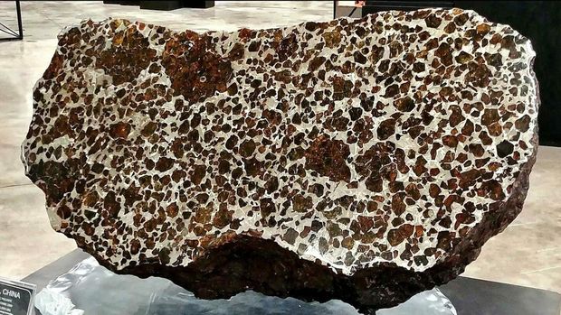 11 Meteorit Terkenal. (Dok. Pool/Fossilera Meteorites)