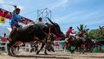 Adu Cepat Kerbau, Festival Balap Chonburi ke-154 Meriah di Thailand