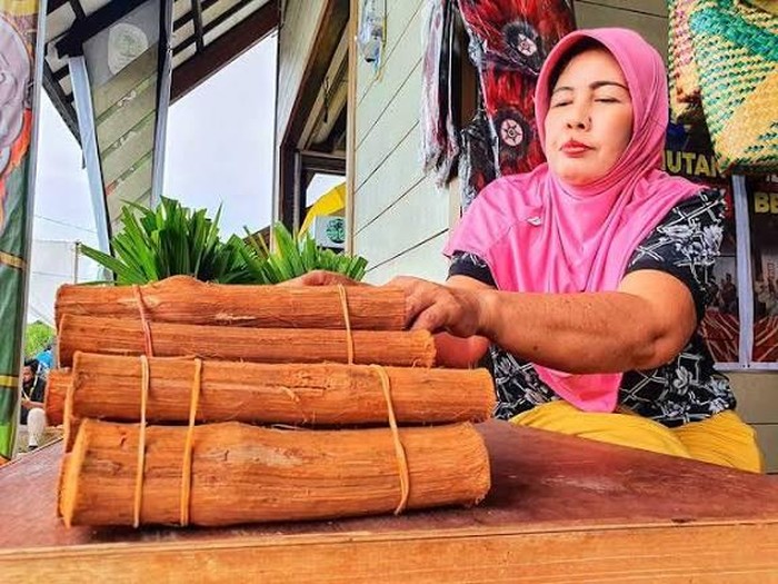 Bajakah, tanaman obat khas Kalimantan.