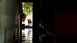 Banjir Rendam Delta Nil, Warga Mesir Bertahan di Tengah Kenaikan Air Sungai