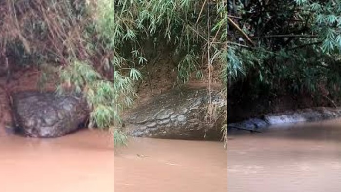 Batu Bentuk Ular di Thailand