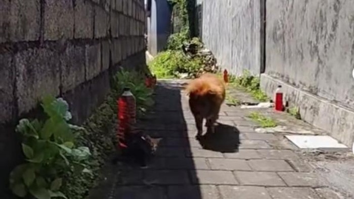Botol berisi cairan merah yang di sebuah gang kecil di Bali viral di media sosial. (Foto: Tangkapan layar Instagram @lensabali)
