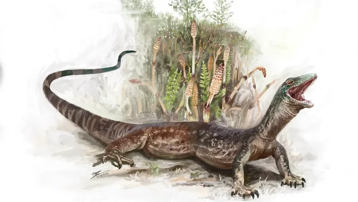Breugnathair elgolensis
