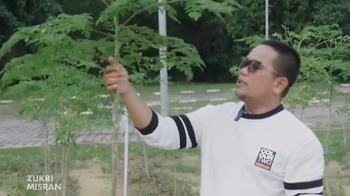 Bupati Pelalawan Zukri saat panen daun kelor di kebun. (Dok instagram Zukri)