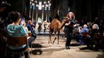 Dari Unta hingga Ular, Semua Diberkati di Katedral Manhattan