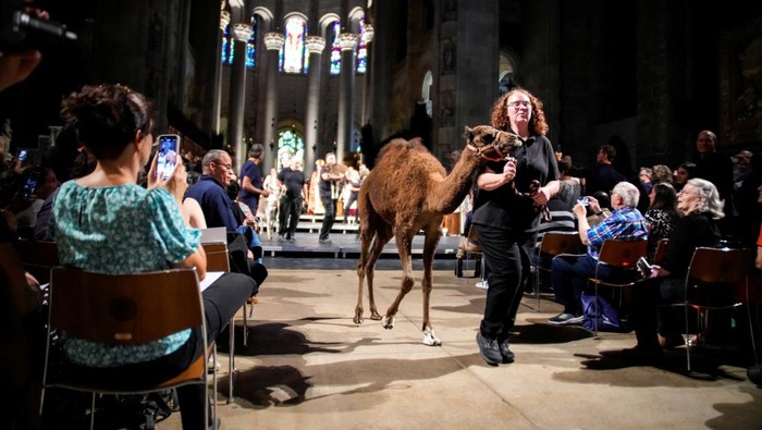 Dari Unta hingga Ular, Semua Diberkati di Katedral Manhattan People stand with animals during the procession at the annual Feast of Saint Francis and Blessing of the Animals at The Cathedral of St. John the Divine in the Manhattan borough of New York, U.S., October 5, 2025. REUTERS/Eduardo Munoz