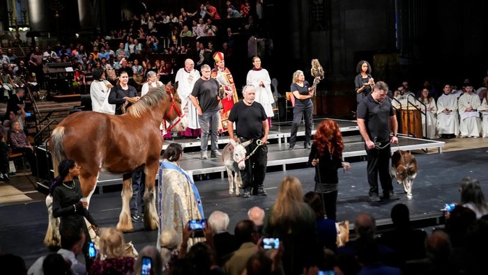 People stand with animals during the procession at the annual Feast of Saint Francis and Blessing of the Animals at The Cathedral of St. John the Divine in the Manhattan borough of New York, U.S., October 5, 2025. REUTERS/Eduardo Munoz