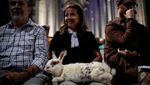 Dari Unta hingga Ular, Semua Diberkati di Katedral Manhattan