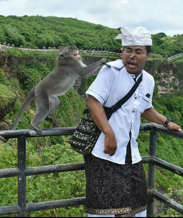Begini jadinya ketika foto kena sial diabadikan beberapa detik sebelumnya. Momennya dapet banget dan kocak!