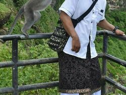 Detik-detik Kena Sial yang Tertangkap Kamera, Pas Banget!