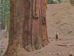 Wow! Manusia Tampak Mini Banget di Dekat Benda-Benda Raksasa