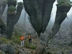 Wow! Manusia Tampak Mini Banget di Dekat Benda-Benda Raksasa