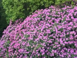 Wow! Manusia Tampak Mini Banget di Dekat Benda-Benda Raksasa