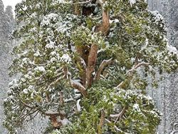 Wow! Manusia Tampak Mini Banget di Dekat Benda-Benda Raksasa