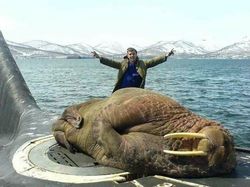 Wow! Manusia Tampak Mini Banget di Dekat Benda-Benda Raksasa