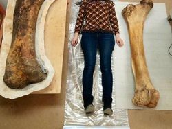 Wow! Manusia Tampak Mini Banget di Dekat Benda-Benda Raksasa