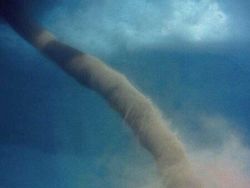 Wow! Manusia Tampak Mini Banget di Dekat Benda-Benda Raksasa