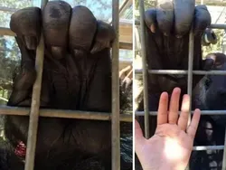 Wow! Manusia Tampak Mini Banget di Dekat Benda-Benda Raksasa