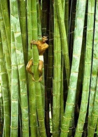Foto Manusia vs Benda Raksasa