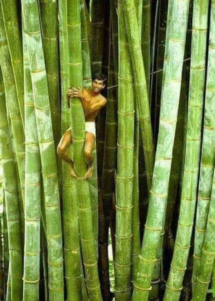Foto Manusia vs Benda Raksasa