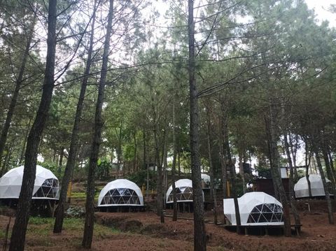 Glamping di Batu