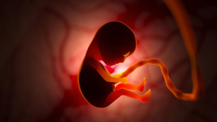 Terobosan Medis! Ilmuwan AS Ciptakan Embrio Bayi dari Sel Kulit Manusia, Menjanjikan Harapan Baru dalam Pengembangan Kehidupan