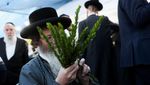 Jelang Sukkot, Warga Yahudi di Yerusalem Sibuk Siapkan Perlengkapan Ritual