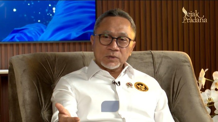 Menko Pangan Zulkifli Hasan (dok.detikcom)