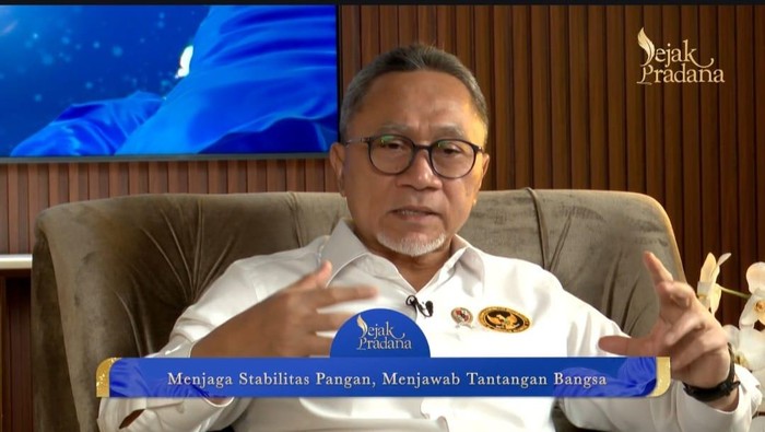 Menko Pangan Zulkifli Hasan (dok.detikcom)