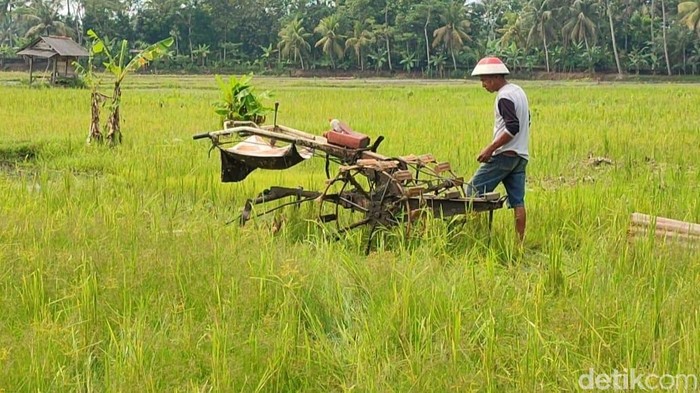 petani yang sedang mengoperasikan traktor